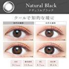 Natural One-Day Color Lens Natural Black 20 pcs - P-0.00 (20 pcs)