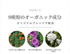 VitaminC 100 Moist Face Mask - 30 pcs