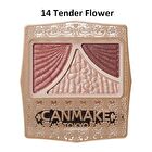 Canmake Juicy Pure Eyes Shadow - 14 Tender Flower