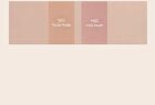 romand Better Than Cheek NEW - 9 Colors - C02 Blueberry Chip