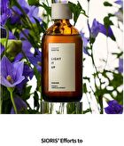 Light It Up Essener - 100ml