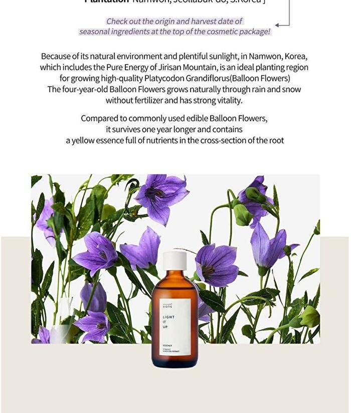 Light It Up Essener - 100ml