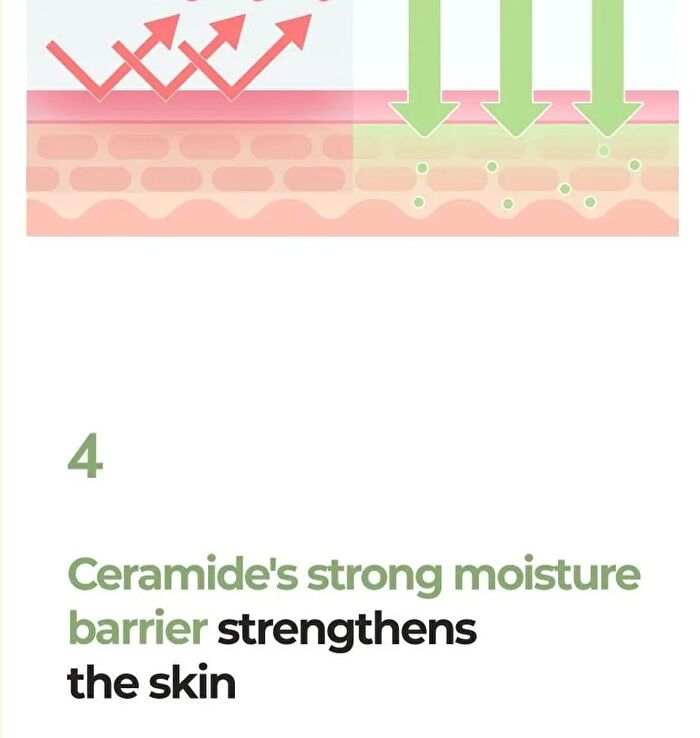 No.2 Cica Ceramide Repair Cream - 60ml - Renewed