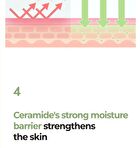 No.2 Cica Ceramide Repair Cream - 60ml - Renewed