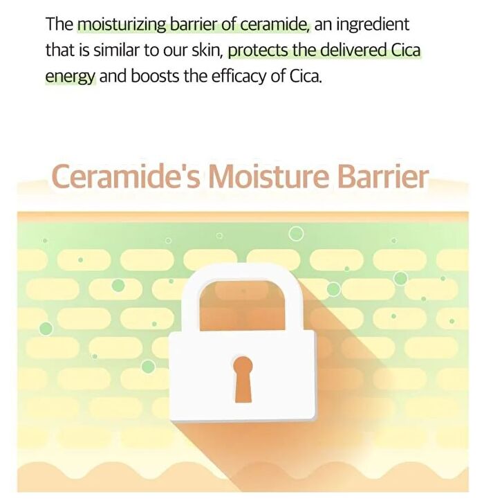No.2 Cica Ceramide Repair Cream - 60ml - Renewed