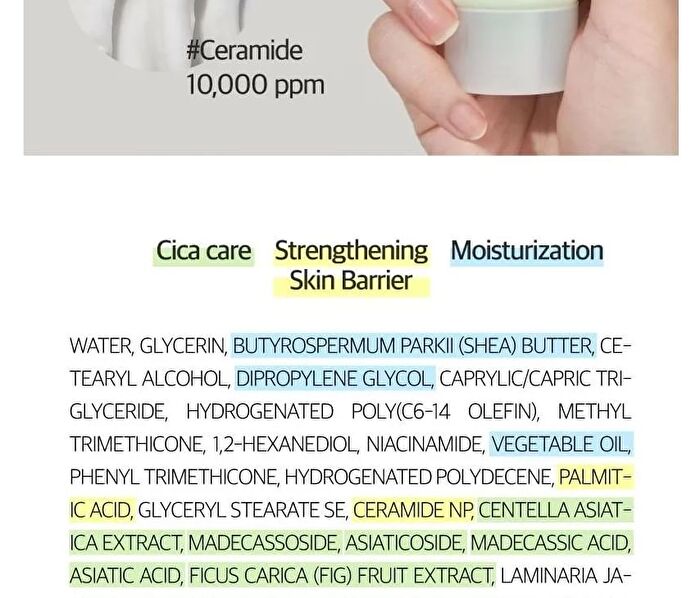 No.2 Cica Ceramide Repair Cream - 60ml - Renewed