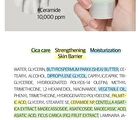 No.2 Cica Ceramide Repair Cream - 60ml - Renewed