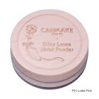 Silky Loose Moist Powder SPF 23 PA++ - 01 Silky Beige