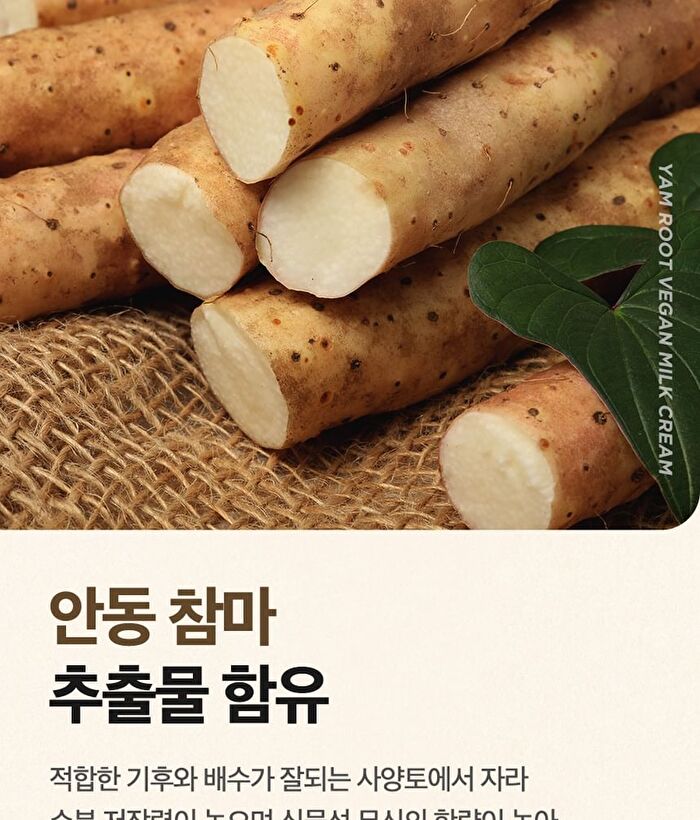 Yam Root Vegan Milk Cream - 80ml