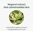 Mugwort Calming Ampoule - New Version - 50ml