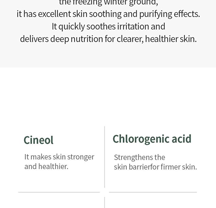 Mugwort Calming Ampoule - New Version - 50ml
