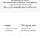 Mugwort Calming Ampoule - New Version - 50ml