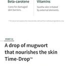 Mugwort Calming Ampoule - New Version - 50ml
