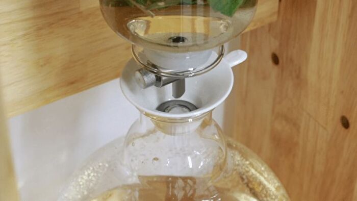 Mugwort Calming Ampoule - New Version - 50ml