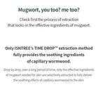 Mugwort Calming Ampoule - New Version - 50ml