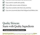 Mugwort Calming Ampoule - New Version - 50ml