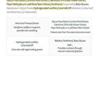 Mugwort Calming Ampoule - New Version - 50ml