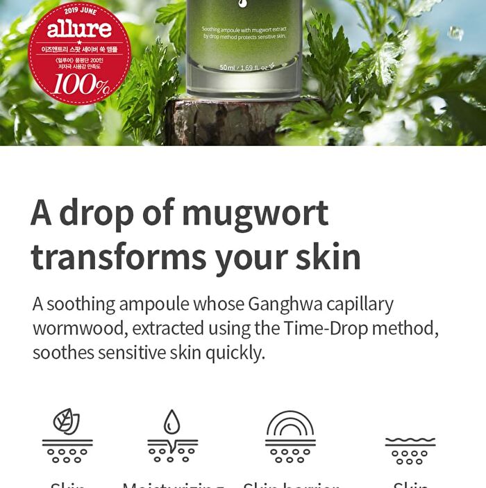 Mugwort Calming Ampoule - New Version - 50ml
