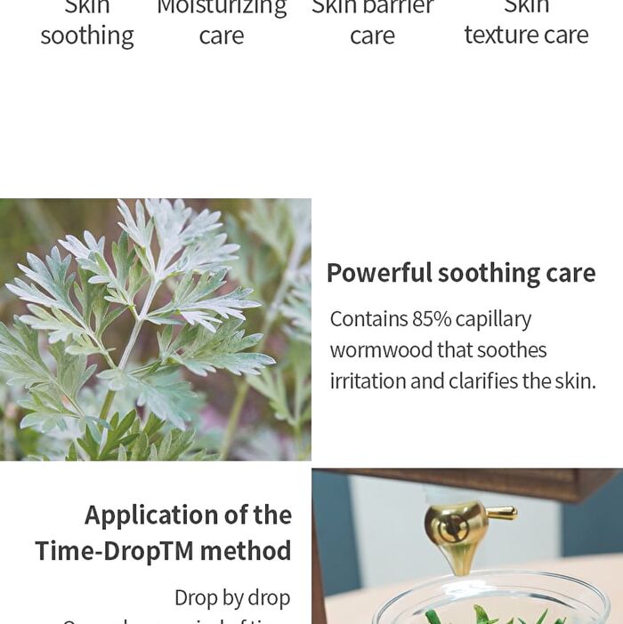 Mugwort Calming Ampoule - New Version - 50ml