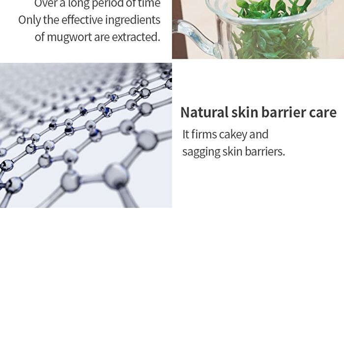 Mugwort Calming Ampoule - New Version - 50ml
