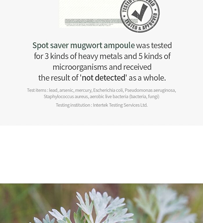 Mugwort Calming Ampoule - New Version - 50ml