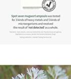 Mugwort Calming Ampoule - New Version - 50ml