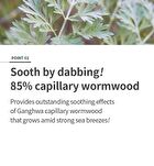 Mugwort Calming Ampoule - New Version - 50ml