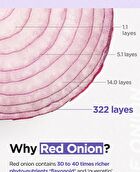 Onion Newpair Cleansing Foam - 2022 Version - 150ml