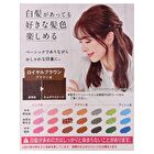 Cleodite Cleary Gray Hair Color - Sheer Beige