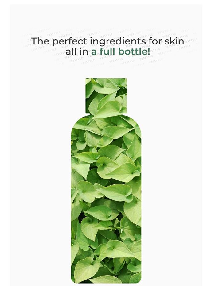 mixsoon Toner Mini 150ml - 4 Types - Bifida