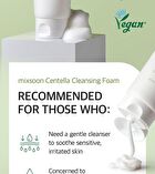mixsoon Centella Cleansing Foam - 2024 Version - 150ml