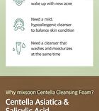mixsoon Centella Cleansing Foam - 2024 Version - 150ml
