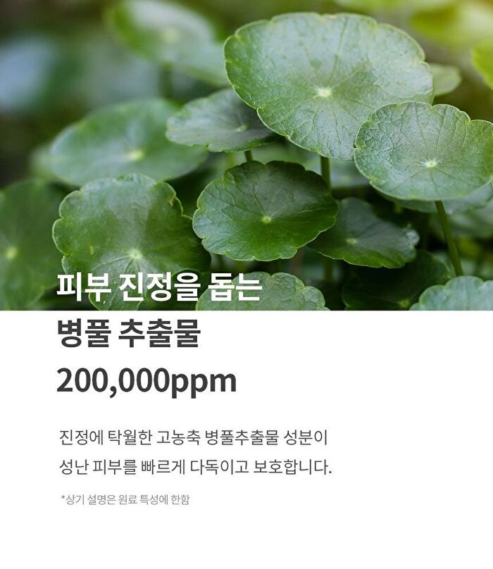 mixsoon Centella Mask Pack Set - 25g x 5 sheets