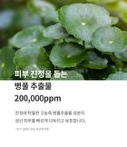 mixsoon Centella Mask Pack Set - 25g x 5 sheets