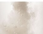 mixsoon Bifida Mask Pack Set - 25g x 5 sheets