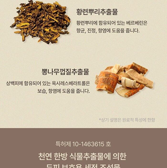 mixsoon Scalp & Hair Essence - 50ml