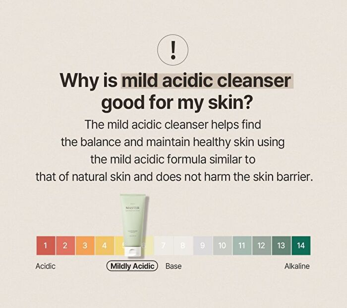 mixsoon Master Gentle Recipe Foam Cleanser - 150ml