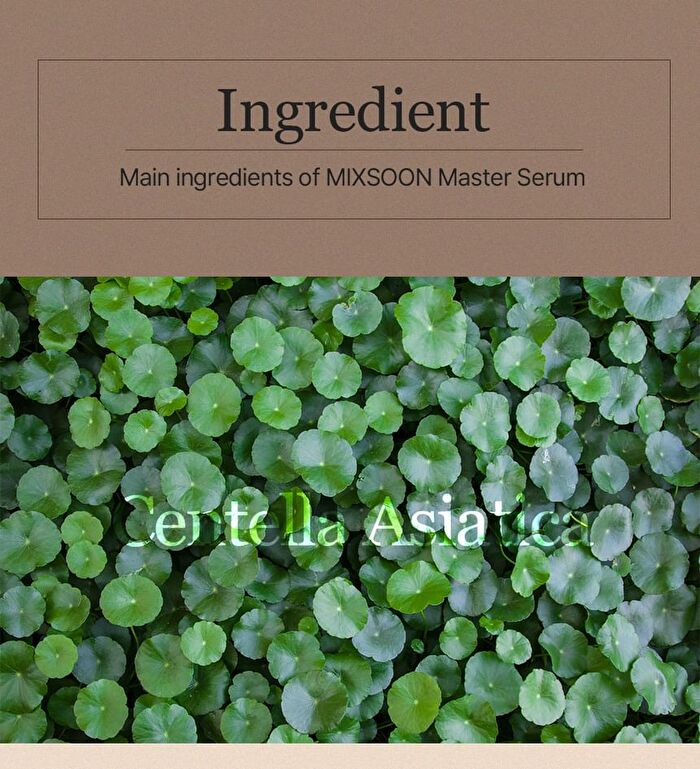 mixsoon Master Serum - 60ml