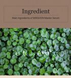 mixsoon Master Serum - 60ml