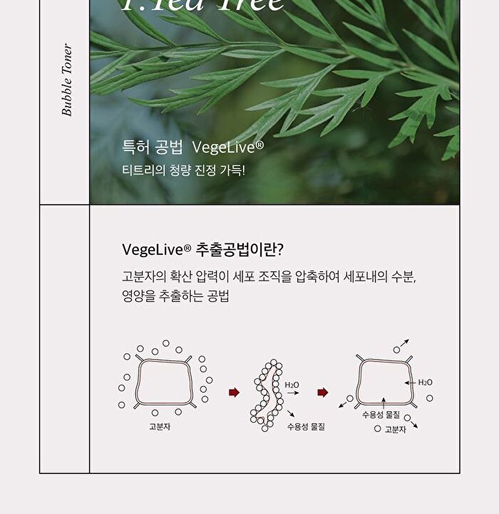 mixsoon H.C.T Bubble Toner - 150ml