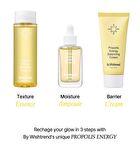 Propolis Energy Boosting Essence - 2022 Version - 100ml