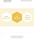 Propolis Energy Balancing Cream - Renewed: 50g