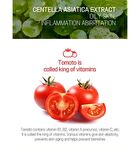 Super Food Mask Set - 17 Types - Broccoli