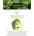 Super Food Mask Set - 17 Types - Broccoli