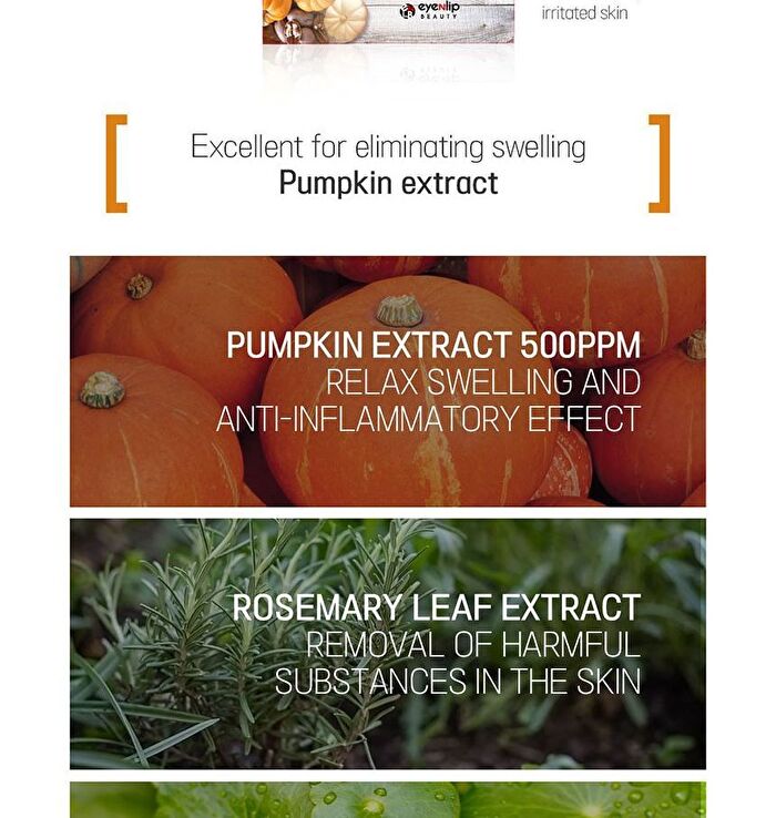 Super Food Mask Set - 17 Types - Pumpkin
