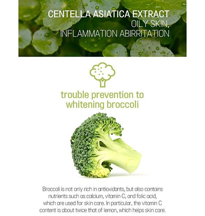 Super Food Mask Set - 17 Types - Avocado