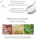 Peptide Multi Care Cream & Toner  - 200ml
