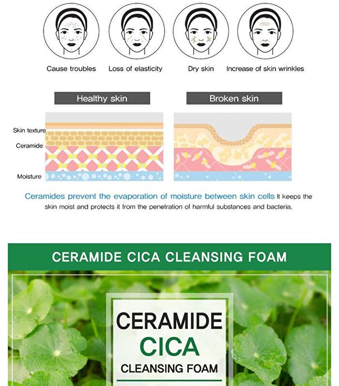 Ceramide Cleansing Foam - 5 Types - Rice
