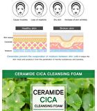 Ceramide Cleansing Foam - 5 Types - Rice