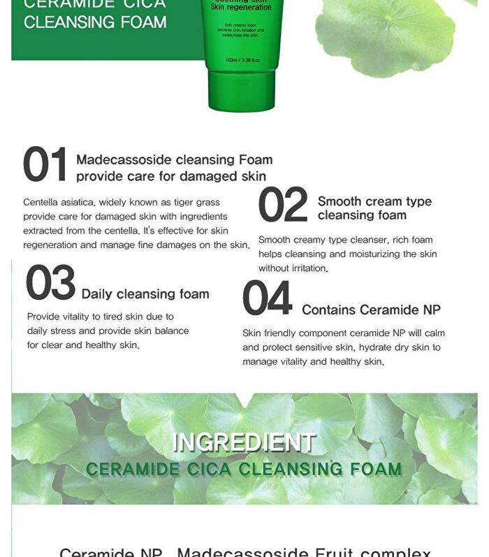 Ceramide Cleansing Foam - 5 Types - Rice